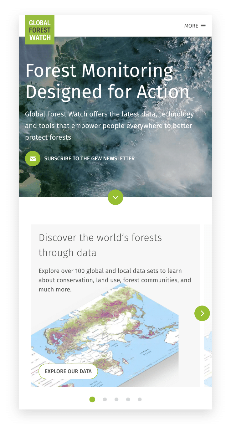 visual representation of wri's global forest program, highlighting conservation efforts, sustainable forestry, and the program's global impact.