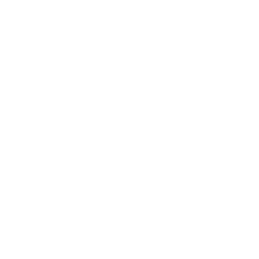 google translate logo white