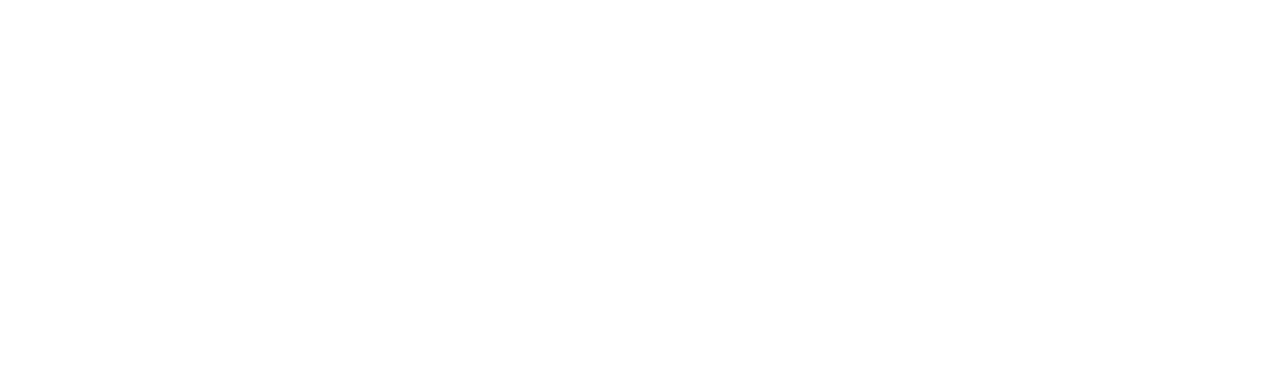 zeffy white logo